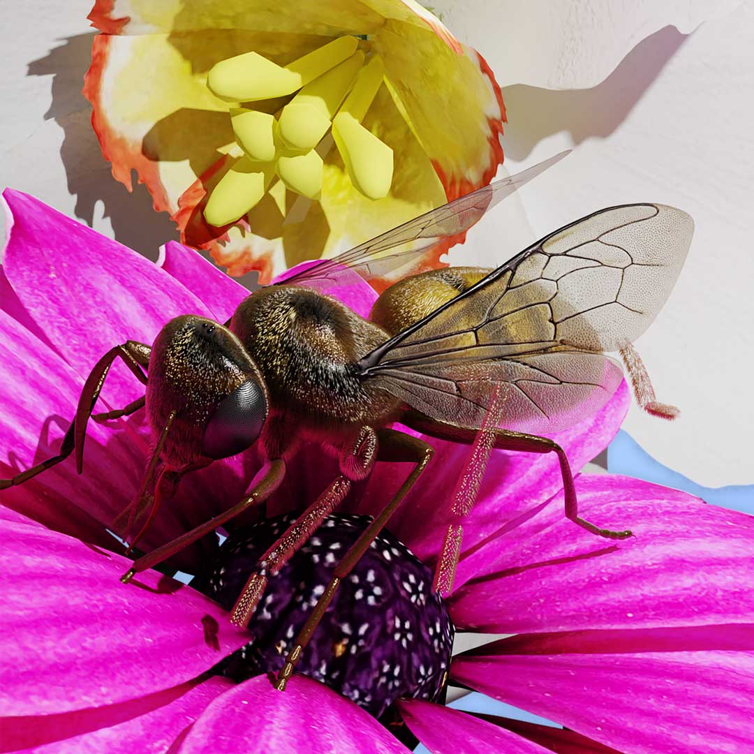 Biene in Blumenblüte